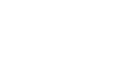 Next.I.T._White-Logo