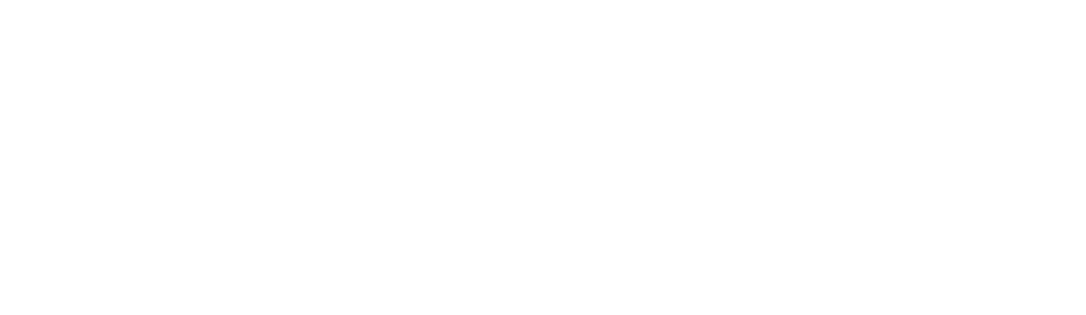 Valeo Networks Logo White